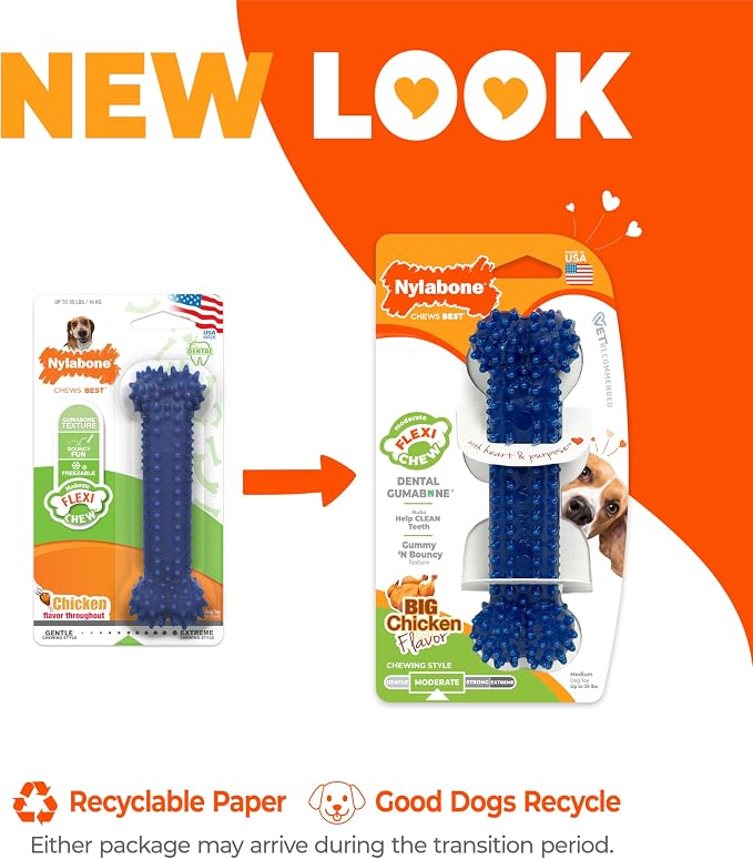 Nylabone Flexi Chew Dental Gumabone Dog Chew Toy, Chicken Flavor, Medium | Dog toy for medium dogs up to 35 lbs, teeth-cleaning textures, flexible material, gentle on teeth, great for seniors