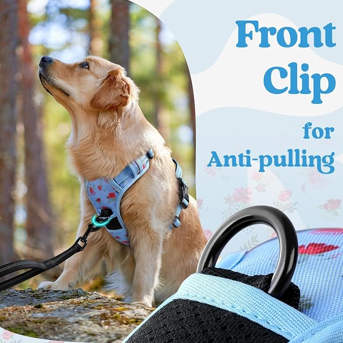 rabbitgoo Dog Harness for Large, Updated Easy On & Off with 3 Buckles | No Pull No Choke, Walking with 2 Clips and Handle, Adjustable Soft Reflective, Floral Blue, X-large
