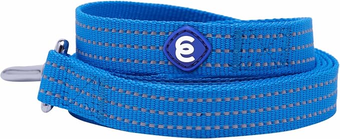 Blueberry Pet Essentials Reflective Better Basics Matching Dog Collar and Leash Set in French Blue, Adjustable Collar with 4 ft Leash for Large Dogs