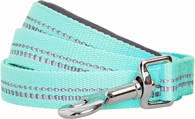 Blueberry Pet 3M Reflective Pastel Color Dog Leash with Soft & Comfortable Handle, 4 ft x 1", Mint Blue, Large, Leashes for Dogs