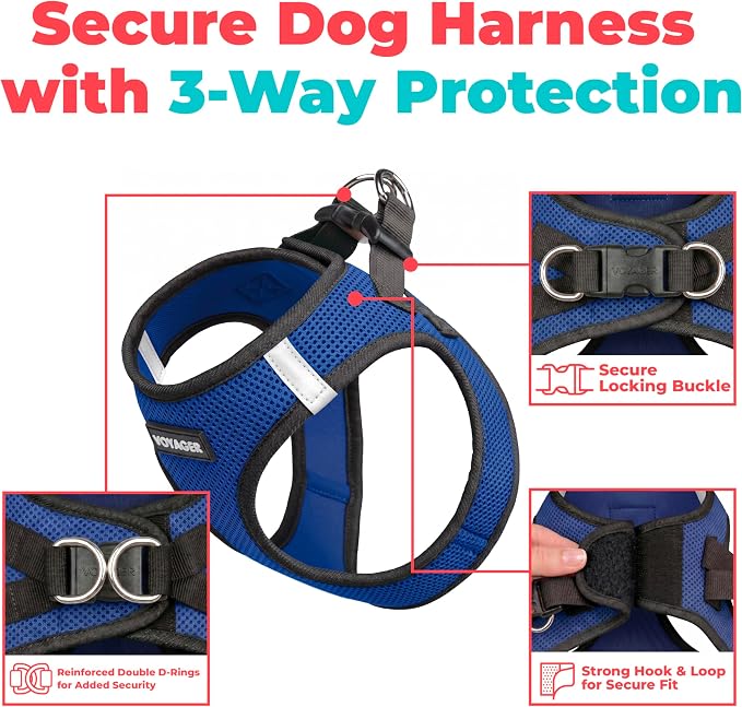 Voyager Step-in Air Dog Vest Harness - Royal Blue/Black Trim, Small | 14.5-16" in Chest, Reflective Bands, All Weather Breathable Air Mesh, Cats Compatible, Lightweight, Fast Drying