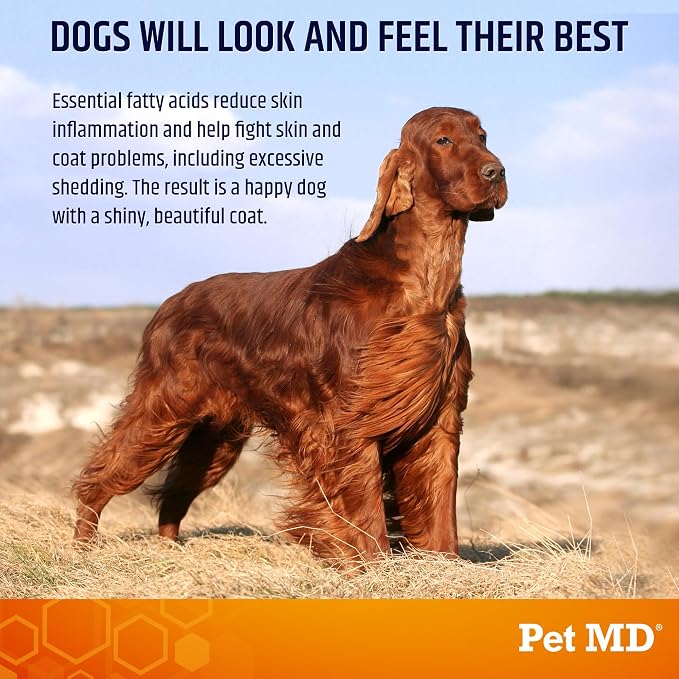 Pet MD Salmon Omega Bites for Dogs - Dog Skin and Coat Supplement - 60ct