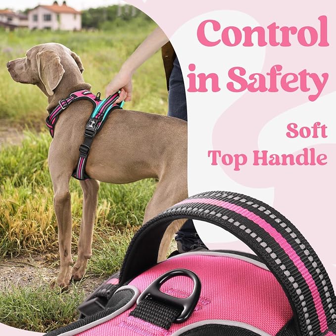 rabbitgoo Dog Harness Small Sized, Updated Easy On & Off with 3 Buckles | No Pull No Choke, Walking with 2 Clips and Handle, Adjustable Soft Reflective, Rose Pink, Small