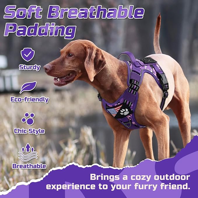 rabbitgoo Tactical Dog Harness for Medium, No Pull Military Service Vest | Molle & Handle, Heavy Duty, Adjustable, Reflective Straps, Easy Control for Training Walking, Purple Camo, Medium