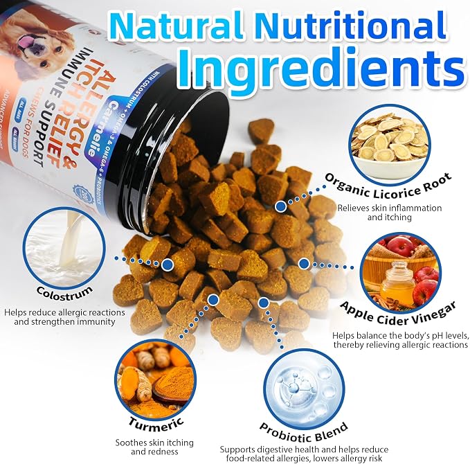 Dog Allergy Relief + Carmelie Probiotics for Dogs – 400 Soft Chews, Itchy Skin & Paw Licking Relief, Digestive Health, Immune Support, Seasonal Allergies, Chicken Flavor
