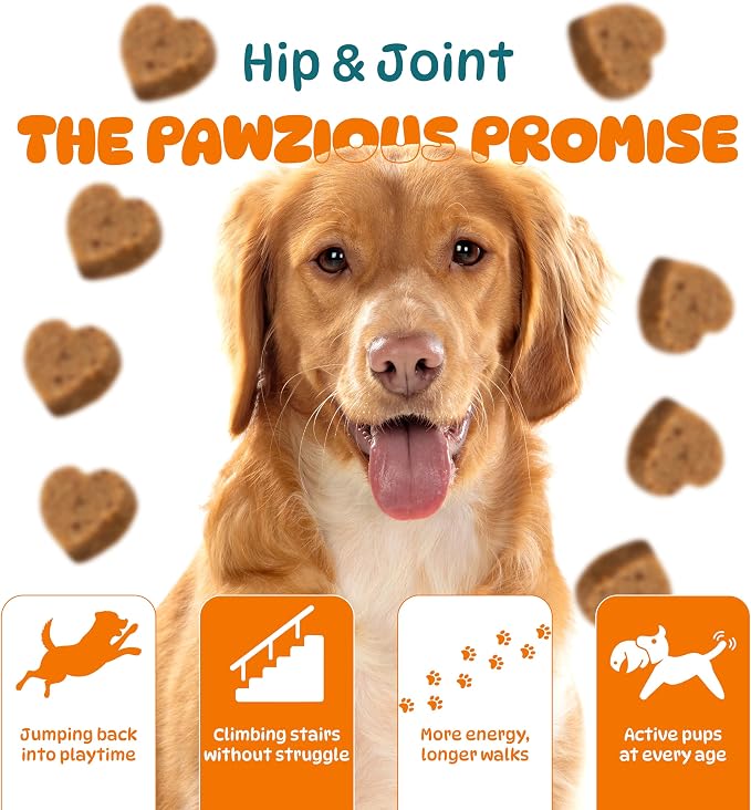 Dog Hip and Joint Supplements, Glucosamine Chondroitin & Green Lipped + Omega-3 & Turmeric + MSM, Treats Improve Joint Function & Mobility in All Ages (Chicken Flavour 100 Chews)