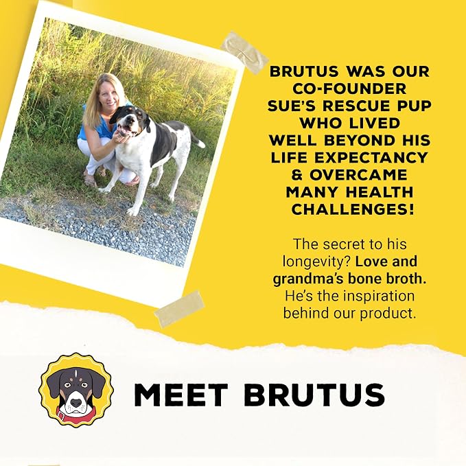 Brutus Broth Dog Food Topper - Instant Bone Broth Powder for Dogs - Supports Hip and Joint Function - Human-Grade Quality, Serve Dry or Wet - Chicken Flavor, 3.5 oz (Pack of 1)