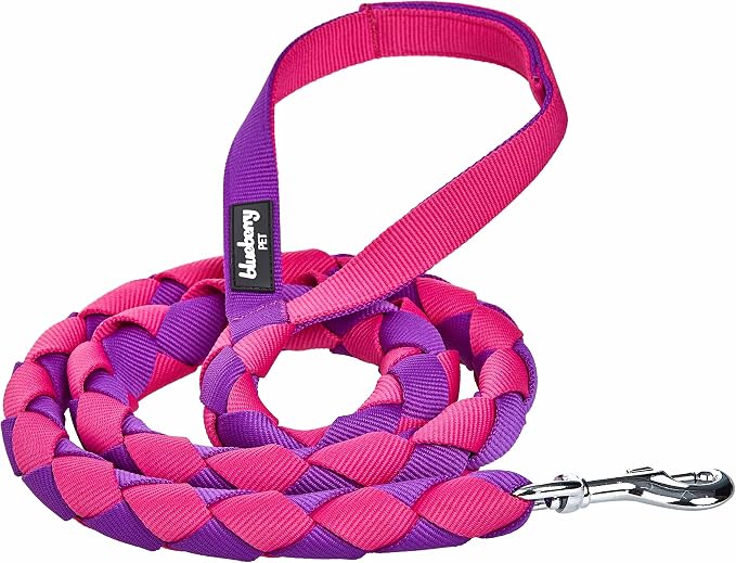 Blueberry Pet Iconic Double-Weave Handmade Dog Rope Leash, Cerise and Dark Purple, 4 ft, Strong Leashes for Dogs