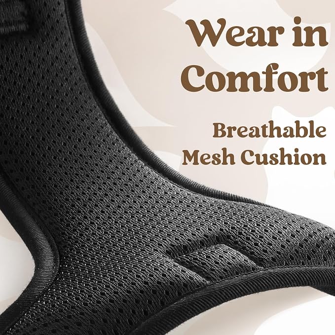 rabbitgoo Dog Harness Small Sized, Updated Easy On & Off with 3 Buckles | No Pull No Choke, Walking with 2 Clips and Handle, Adjustable Soft Reflective, Black, Small