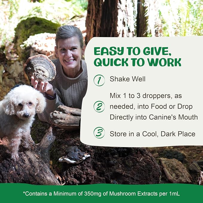 MycoDog Digest, Digestive Mushroom Supplement for Dogs for Healthy Poop