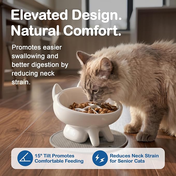 2 Pack Anti-Vomit Elevated Slow Feeder Cat Bowls with 2 Non-Slip Mats – Ceramic Whisker-Friendly Tilted Orthopedic Feeding Set, Ideal for Senior Cats & Small Dogs