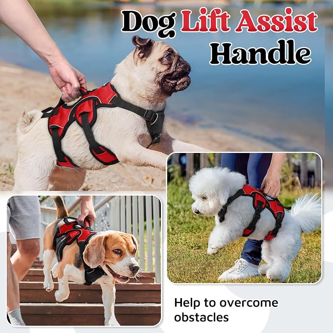 rabbitgoo Escape Proof Dog Harness for Small, No Pull with Lift Handle | No Escape, Full Soft Padded, Reflective Adjustable Vest, Leash Clip for Walking Hiking Training, Red, Small