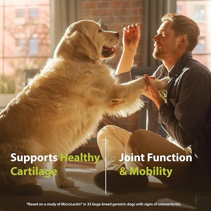 PRN Pharmacal Duralactin Canine Joint Plus Soft Chews, 90 Count