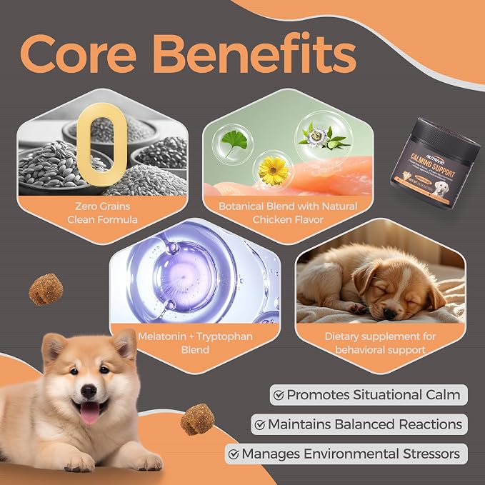 Melatonin Calming Chews for Dogs, Chicken, 300g