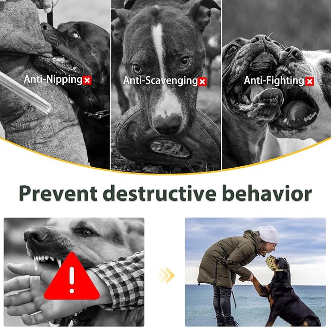 Pitbull Dog Muzzle for Large Medium Dogs Prevent Biting Scavenging | Fits Rottweiler Amstaff Broad-nosed Breed, Sturdy Breathable Basket, Training Walking Use, Allows to Drink | Green, M
