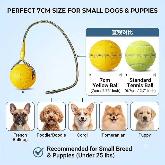 Dog Ball on Rope, Floating EVA Fetch Toy, Medium