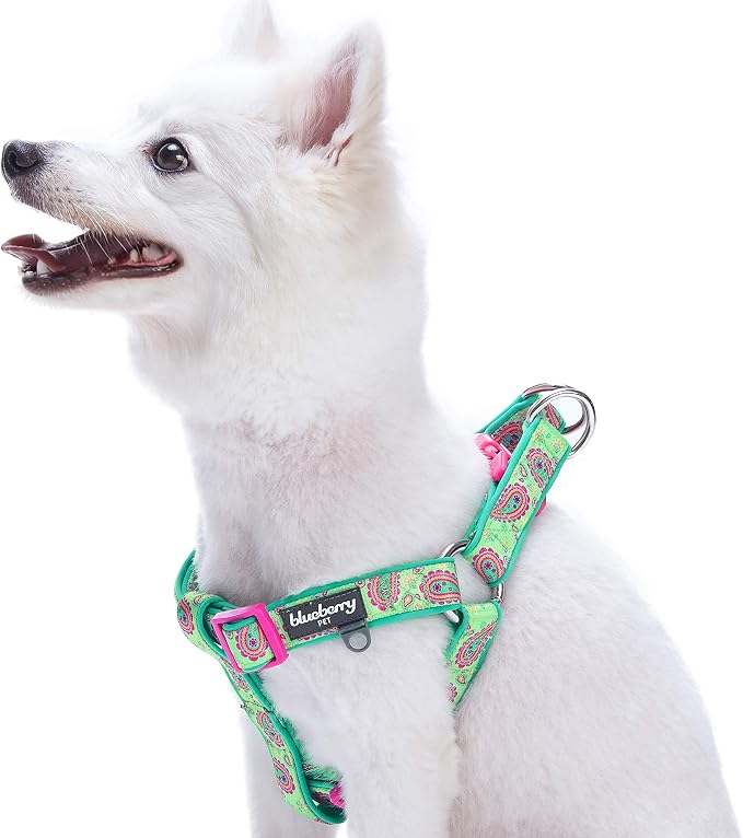 Blueberry Pet 5 Colors Soft & Comfy Step-in Paisley Flower Print Dog Harness, Chest Girth 16.5" - 21.5", Emerald Green, Small, Adjustable Harnesses for Dogs