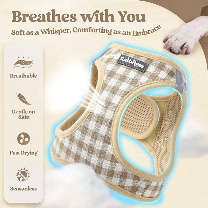 rabbitgoo Dog Harness Small Sized and Leash Set, Step-in Puppy Pet Vest | Light, Soft, Breathable Air Mesh, Easy on and Remove with Hook & Loop, Secure Reflective for Walking, Beige Check XS