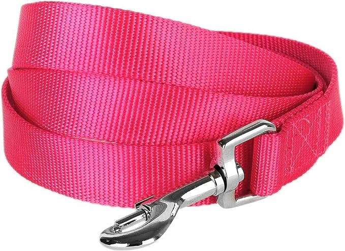 Blueberry Pet Essentials French Pink Dog Leash for Large - 4' * 1" Dogs | Heavy Duty Nylon Lead | Lightweight Puppy & Cat Leash for Walking & Training