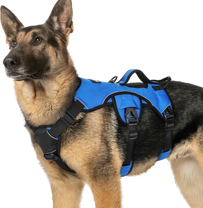 rabbitgoo Escape Proof Dog Harness for X-Large, No Pull with Lift Handle | No Escape, Full Soft Padded, Reflective Adjustable Vest, Leash Clip for Walking Hiking Training, Blue, X-Large