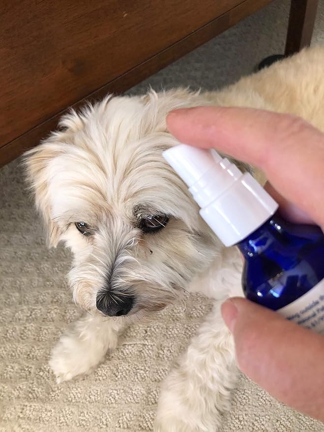 Power - Topical All Natural Liquid Supplement for Aging Pets- Electrolyte Pet Supplement that Promotes Strong, Mobile Joints Naturally (Spray, 1 Ounce) l
