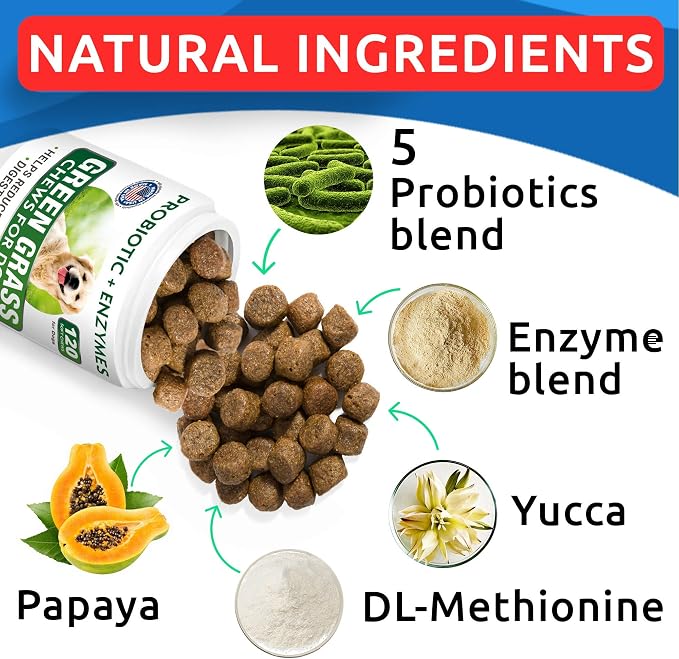 All-Natural Grass Treatment for Dog Urine Bundle - Grass Restore Treats for Dogs - Pee Lawn Repair Chews w Probiotics - Dog Urine Neutralizer Solution for Grass Burn Spots - Made in USA