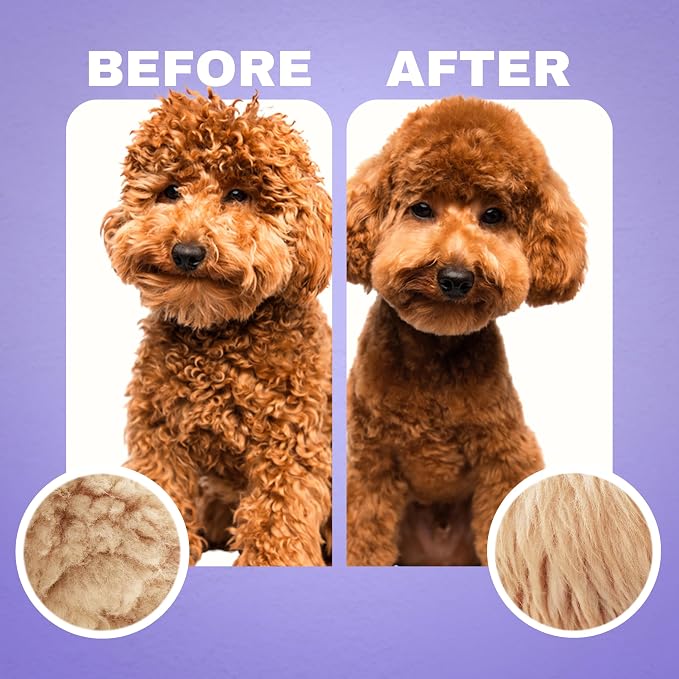 Dood Woof Dog Shampoo and Conditioner for Doodle - All Natural Dog Shampoo for Smelly Dogs, Sensitive Skin Pet Shampoo for Dogs, Goldendoodle, Doodles, Poodle, Puppy Shampoo and Conditioner - Dog Soap