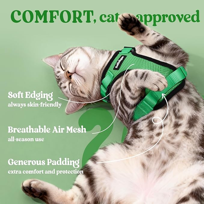 rabbitgoo Cat Harness and Leash Set, Escape Proof Vest, Grass Green | Soft Breathable Mesh, Easy Adjustable Fit, Snap Buckles, Sturdy Clip, Reflective Strips, for Average Cats Walks, S