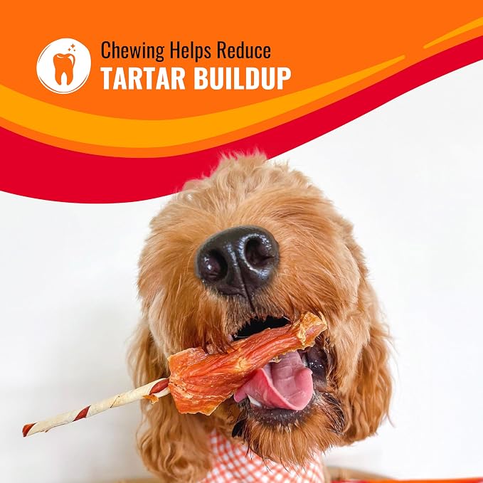 Good ‘n’ Fun Triple Flavor Kabobs Chews for All Dogs, 24 Ounces, Treat Your Dog to Long-Lasting Chews Made from Beef Hide, Real Chicken, Pork Hide, Duck and Chicken Liver