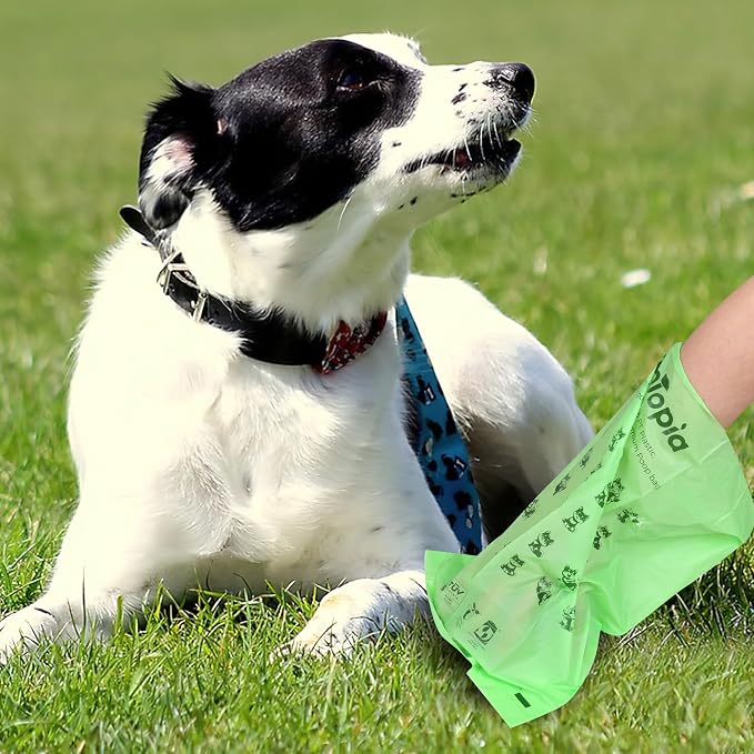 Compostable Dog Poop Bags, 240 Count/16 Rolls, Leak-Proof Unscented, Plant-Based Biodegradable, Tear-Free Easy Open Rolls, ASTM D6400 & EN13432 Certified, Dark Green