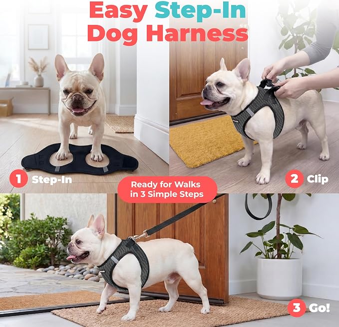 Voyager Step-in Air Dog Vest Harness - Gray 2-Tone, Small | 14.5-16" in Chest, Reflective Bands, All Weather Breathable Air Mesh, Cats Compatible, Lightweight, Fast Drying