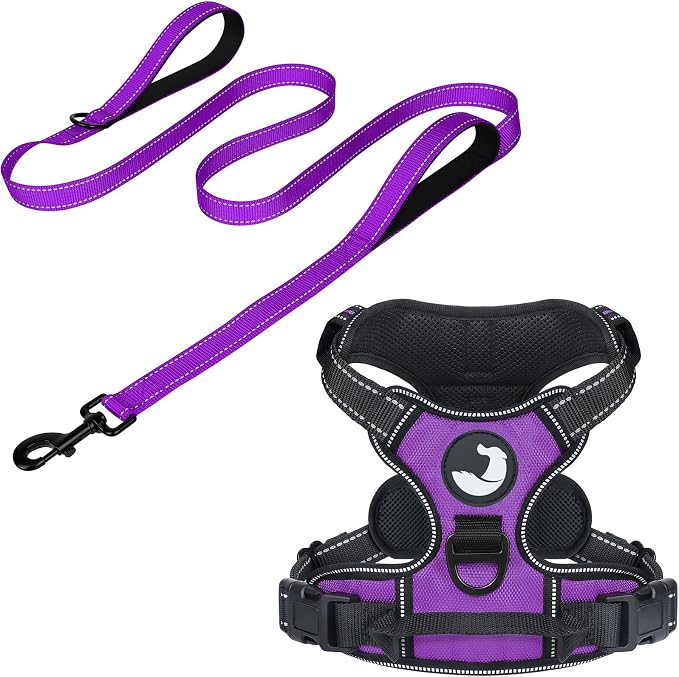 6FT Double Handle Dog Leash for Training and Dog Harness (Chest: 14-28"), Reflective Leashes for Medium Dogs and Adjustable Soft No Pull Harness (Purple,M)