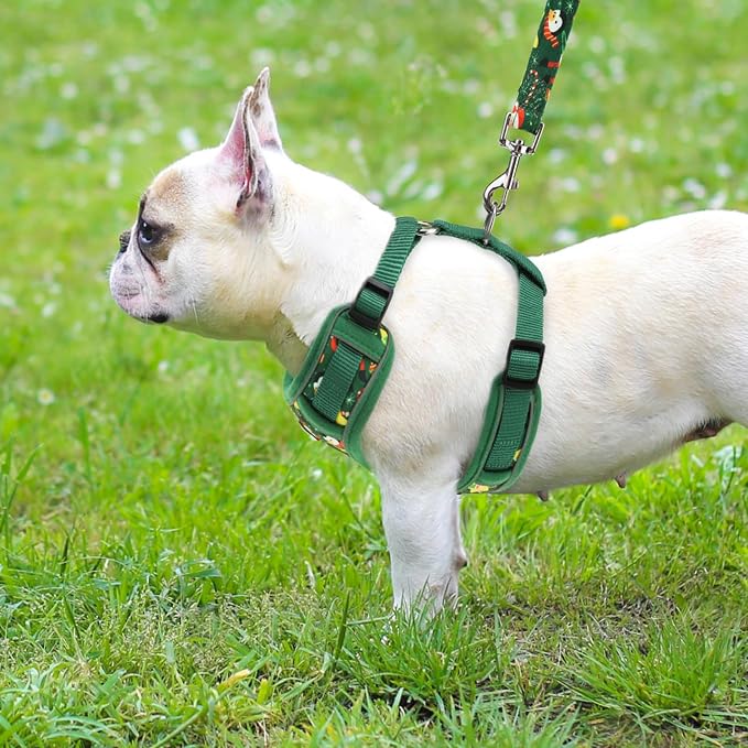 PUPTECK Christmas Small Dog Harness and Leash Set, No Pull Adjustable Puppy Cat Harness, Reflective Soft Mesh Pet Vest Small Sized, Santa Claus, S