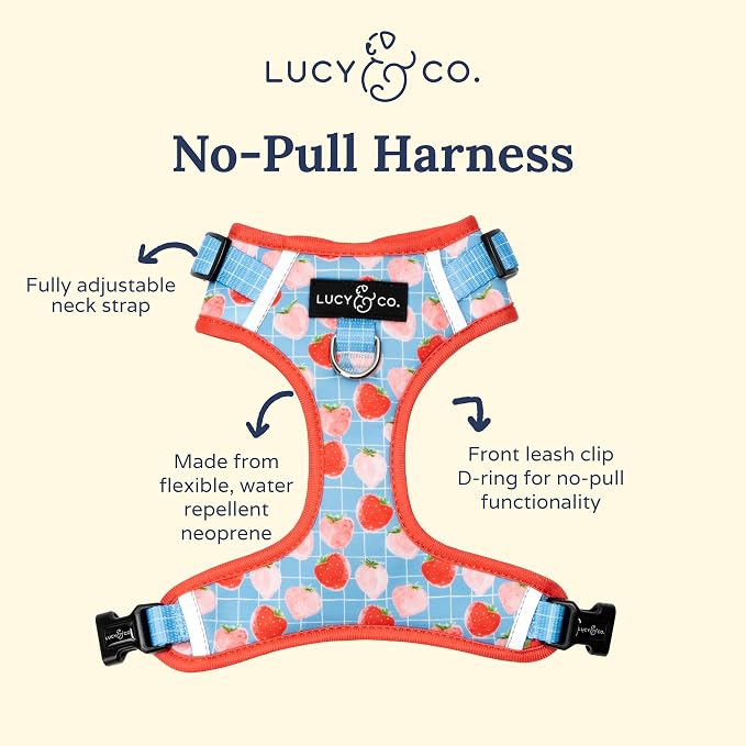 Lucy & Co. The Fresh Berries No-Pull Dog Harness - Size Small- Vest to Stop Pulling & Walk Easy - Comfortable Leash Training Product w/Adjustable Chest & Neck Straps