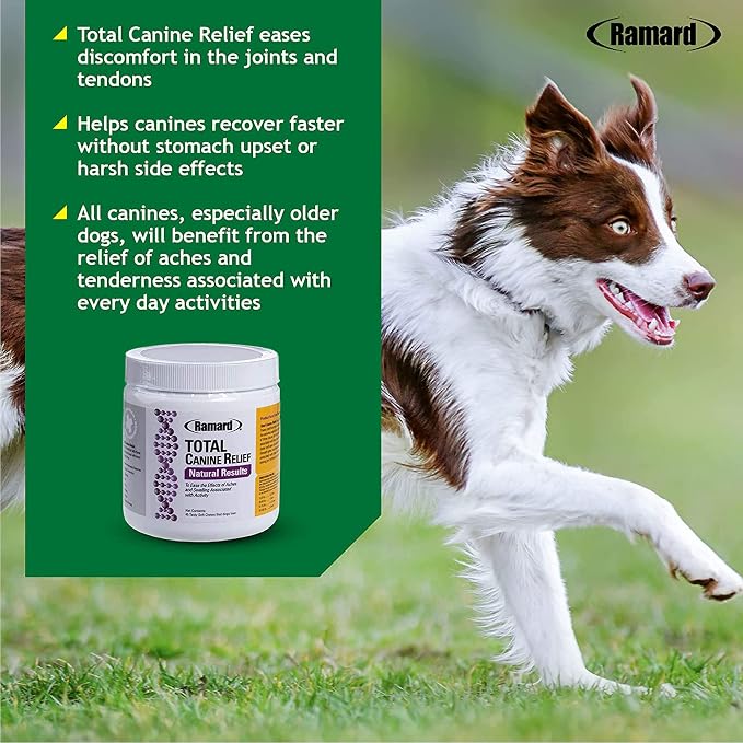 Ramard Total Canine Relief - Tasty Soft Chews for Total Canine Relief: Muscle Formula, Joint Care, and More - Healthy Chewable Tablets for Daily Wellness and Agility Support - 45 Chews
