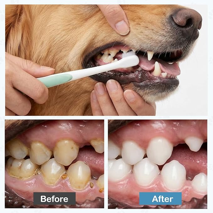 2 Pcs Toothbrush for Small Dogs, Cat Tooth Brush Soft Bristles Kitten Toothbrush Deep Dental Teeth Cleaning for Puppy, Kitten, Cats