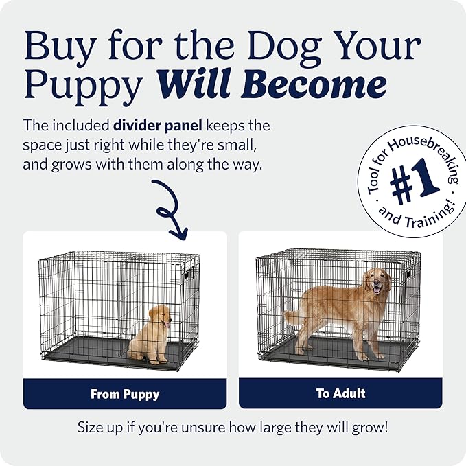 MidWest Homes for Pets 30-Inch iCrate for Medium Breeds, 21-40 lbs, Double Door Folding Dog Crate with Divider Panel, Leak-Proof Tray & Secure Latches, Portable, Durable & Easy to Assemble