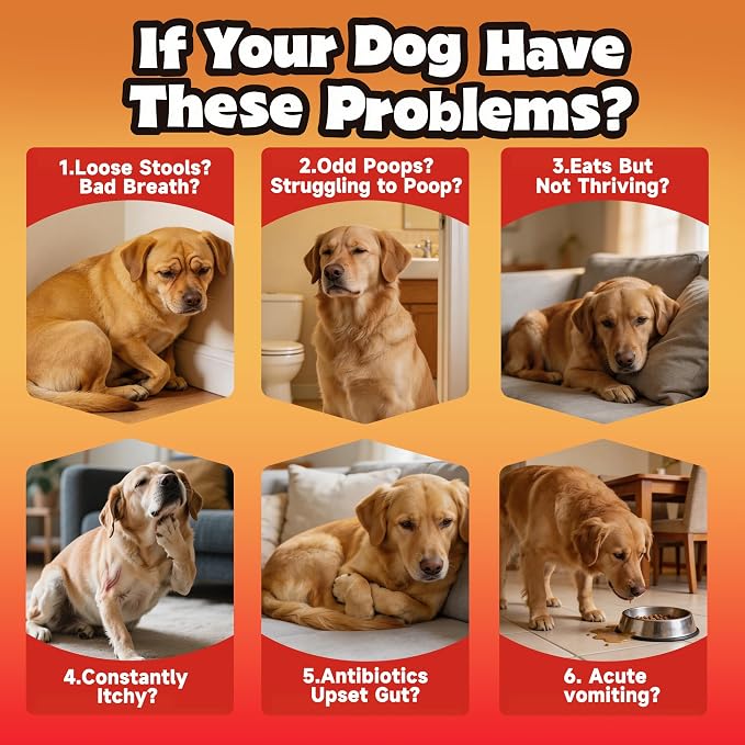 Probiotics for Dogs - Improve Gut Health, Digestive, Immunity, Yeast Balance, Solid Stool - with Prebiotics - Reduce Diarrhea, Gas, Bad Breath, Constipation, Allergy - Ideal for Senior Dogs (5+ Years)