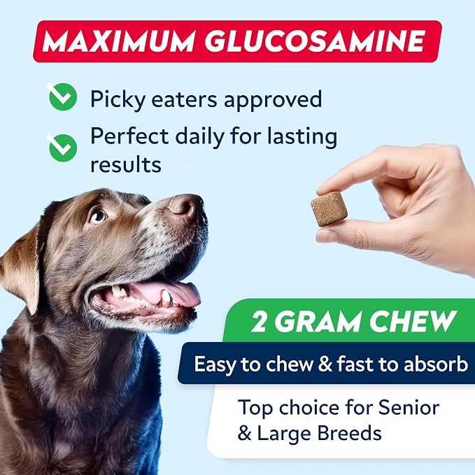 STRELLALAB Senior Advanced Glucosamine Joint Supplement for Dogs - Green Lipped Mussel & Collagen - Large Breeds - Hip & Joint Health - Bacon Flavor - 180 Chews