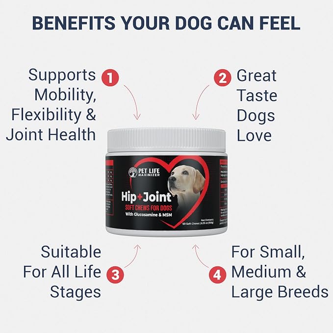 3-in-1 Joint Supplement for Dogs. Chicken Flavored Chews