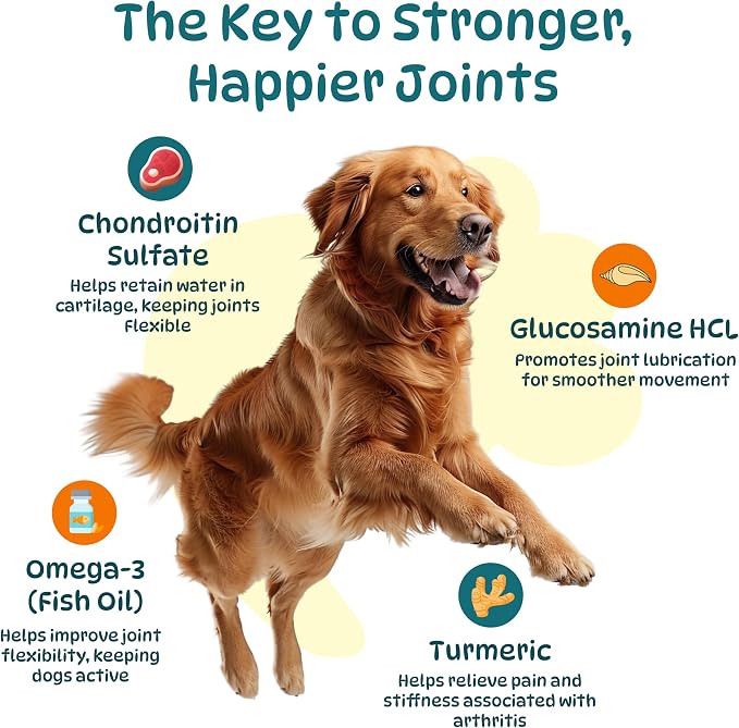 Dog Hip and Joint Supplements, Glucosamine Chondroitin & Green Lipped + Omega-3 & Turmeric + MSM, Treats Improve Joint Function & Mobility in All Ages (Chicken Flavour 100 Chews)