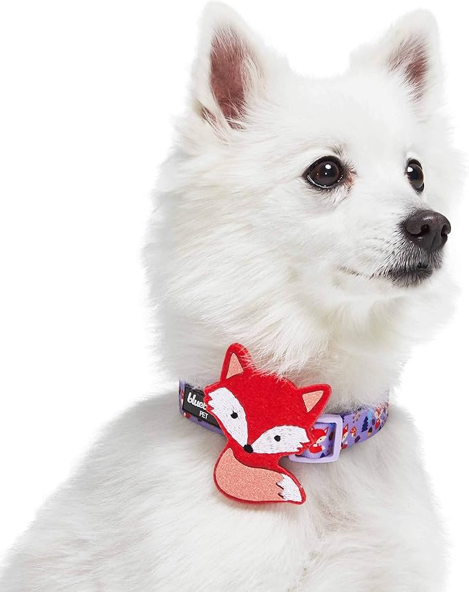 Blueberry Pet Red Fox Adjustable Dog Collar with Detachable Décor, Small, Neck 12"-16"