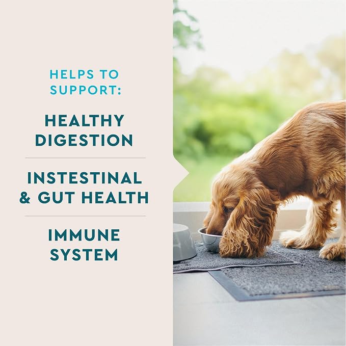 VetIQ Probiotic Supplement for Dogs, Gut & Bowel Support, 90ct