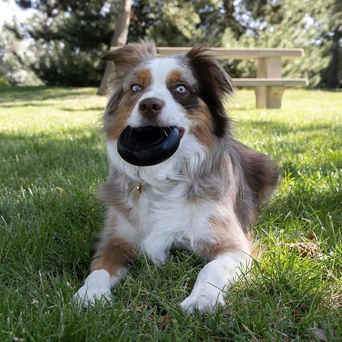 KONG Extreme Donut, Durable Natural Rubber Chew Toy, for Medium/Large Dogs | Made from KONG's Toughest Natural Rubber for Power Chewers, Safe on Teeth & Gums with a Fun Bounce & Roll