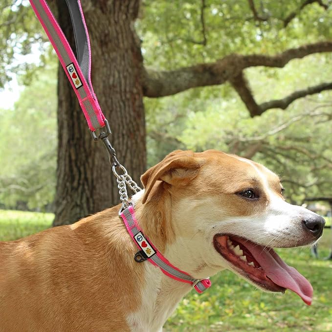 Pawtitas Double Handle Dog Leash Heavy Duty for Training No Pull Leashes Ideal for Medium and Large Dogs | Great for Walking, Running & Training Dog Leash - Medium/Large - Pink