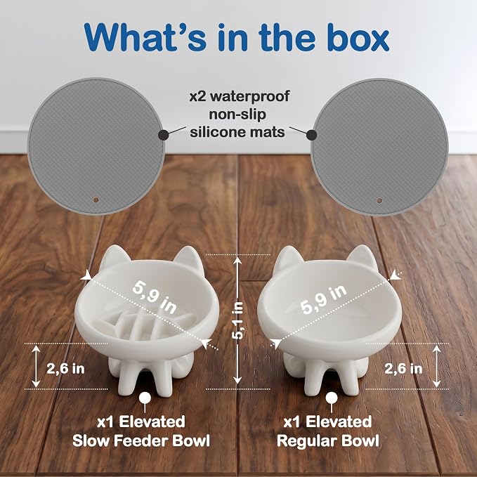 2 Pack Anti-Vomit Elevated Slow Feeder Cat Bowls with 2 Non-Slip Mats – Ceramic Whisker-Friendly Tilted Orthopedic Feeding Set, Ideal for Senior Cats & Small Dogs