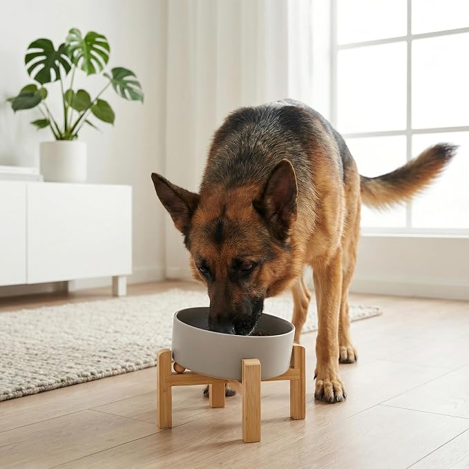 hjn Elevated Ceramic Dog Bowl 15°Slanted Raised Dog Bowl with Bamboo Stand for Small Medium Dogs and Cats, Pet Feeder -7.6-Cup (1800ml)-Gray