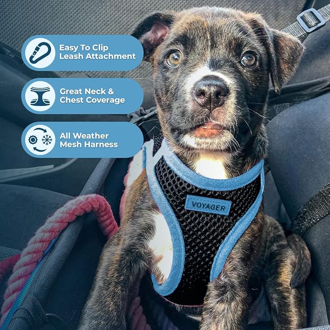 Voyager Step-in Air Dog Vest Harness - Black/Blue Trim, X-Small | 13 - 14.5" in Chest, Reflective Bands, All Weather Breathable Air Mesh, Cats Compatible, Lightweight, Fast Drying