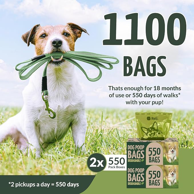 Reli. Biodegradable Dog Poop Bags (1100 Pack, 2 Large Rolls) | 9"x13" Large Poop Bags for Dogs | Unscented, Leak Proof Oxobiodegradable Pet Waste Clean Up | Green Eco-Friendly | Dispenser Box