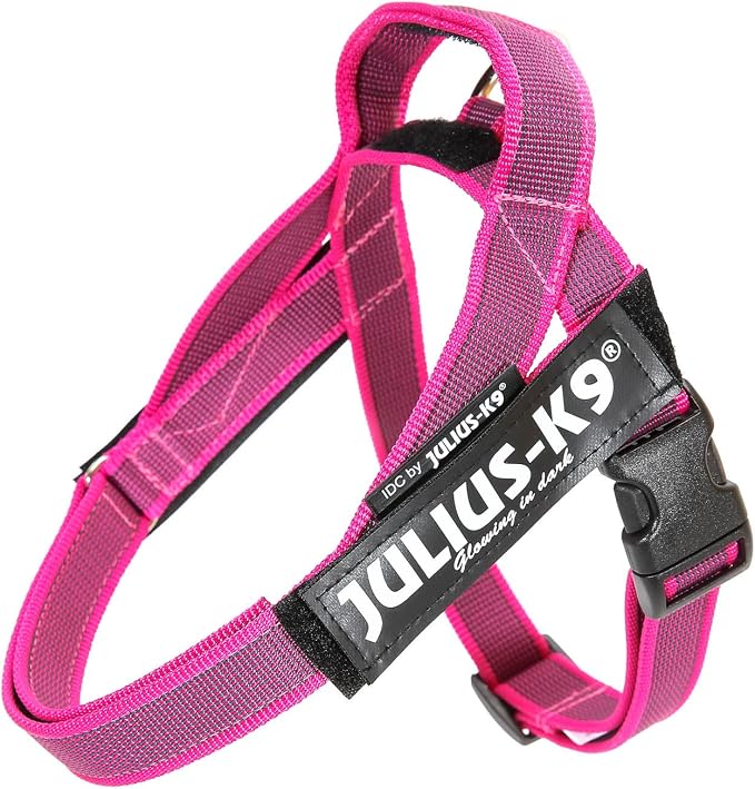 Julius-K9, 16IDC-MM-PN-15, IDC Color & Gray Belt Harness, Size: Mini-Mini, Pink-Gray